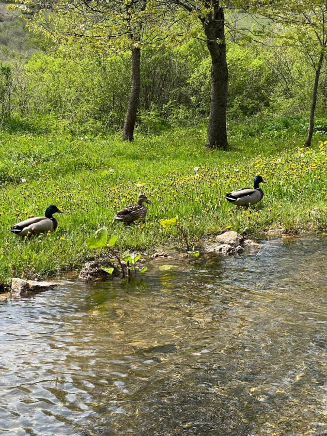 Rustic Inn River 2 Plitvička Jezera Dış mekan fotoğraf