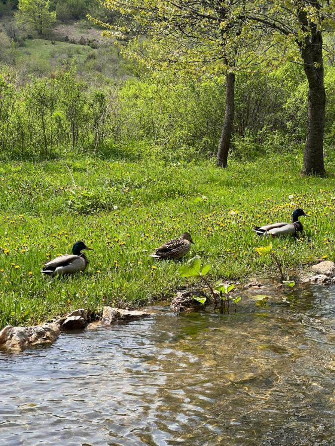 Rustic Inn River 2 Plitvička Jezera Dış mekan fotoğraf