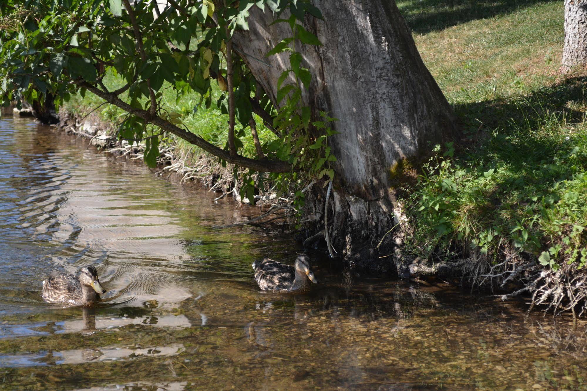 Rustic Inn River 2 Plitvička Jezera Dış mekan fotoğraf